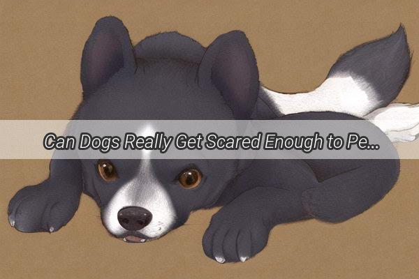  Can Dogs Really Get Scared Enough to Pee A PawsItively Terrifying Truth